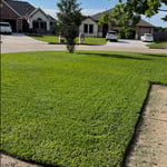 Lawn trim and mow