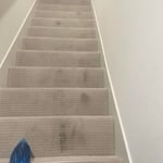 Carpet cleaning