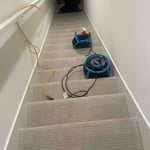 Carpet cleaning