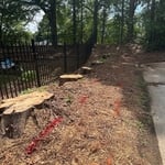Utility Line Stumps