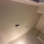Ceiling painting
