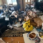 Clean up whole house
