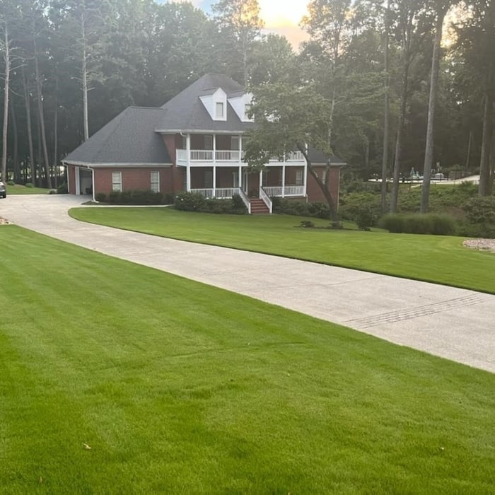 Our Work