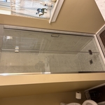 Shower door