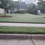 Our Work