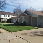 Our Work