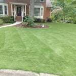 Our Work