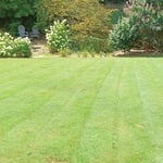 Our Work