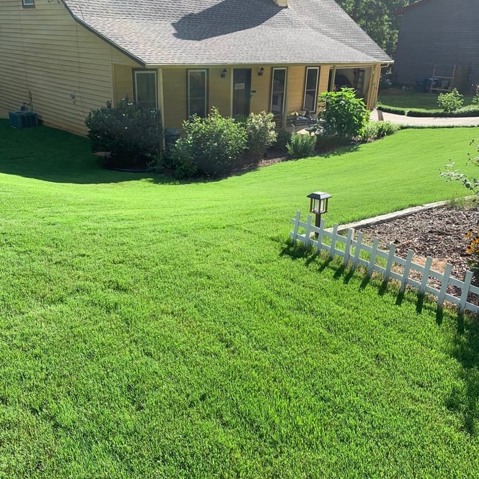 Our Work