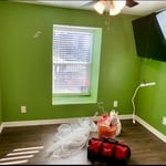 Veronica's home painting
