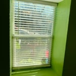 Veronica's home painting