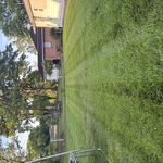 Mowing