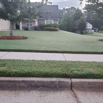 Our Work