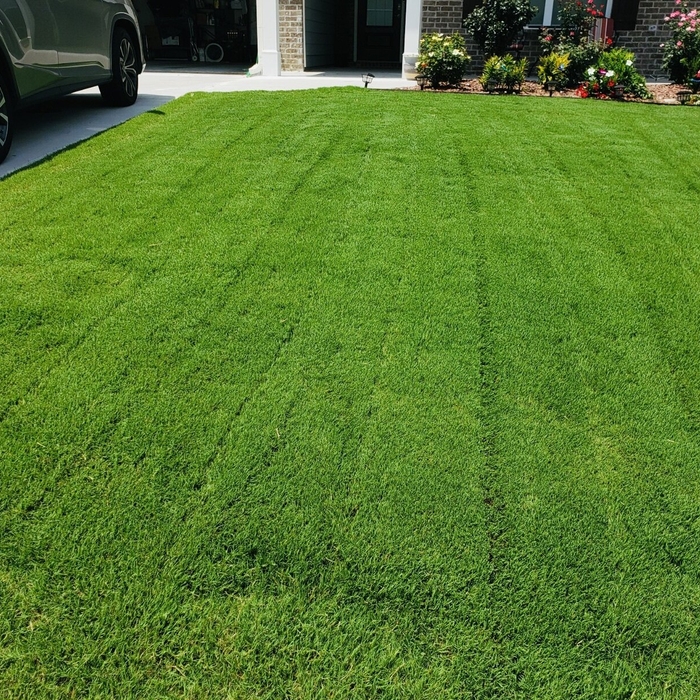 Our Work