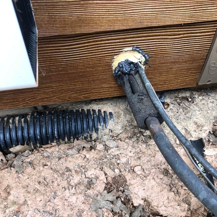 Rodent proofing