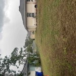 Lawn care