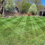 Lawn care maintenance