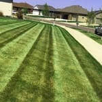 Lawn care maintenance