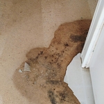 Stockton flooring