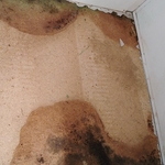 Stockton flooring