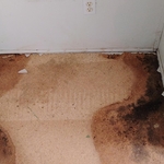Stockton flooring