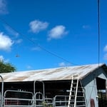 Roof Coating