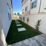 Back yard make over