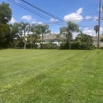 Lawn Care