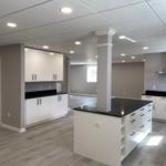 Kitchen/Cabinets
