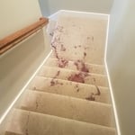 Red Wine Situation