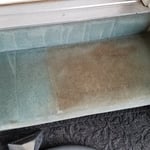 Carpet Cleaning
