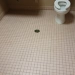 Tile and Grout Cleaning