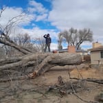 Project Photos