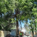 Project Photos