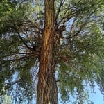 Project Photos