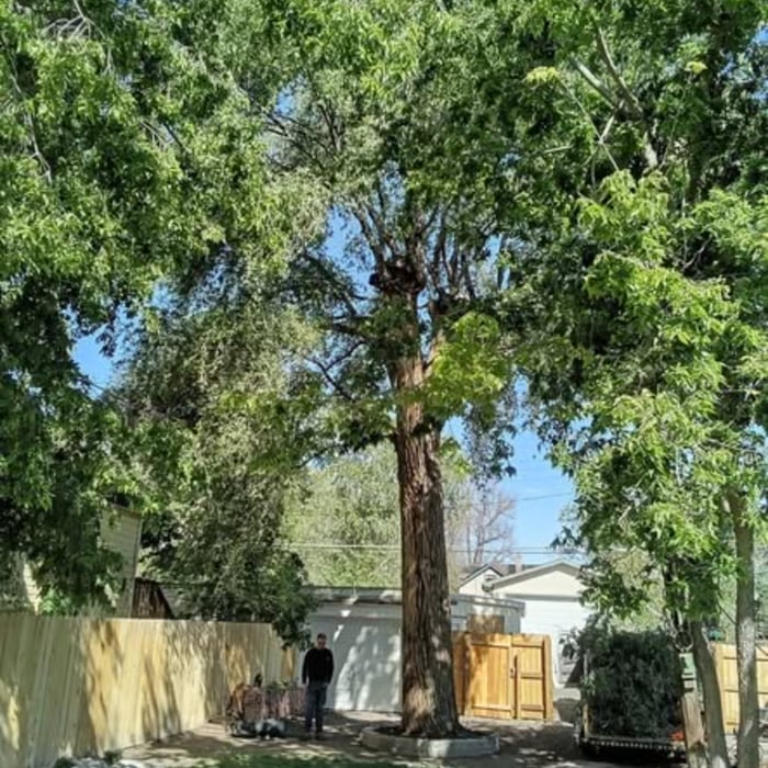 Project Photos