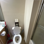 "Dig Out" Deep Clean