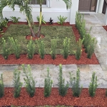 Garden Remodeling
