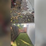Garden Remodeling