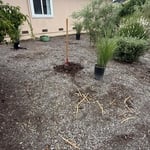 Planting