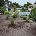 Planting