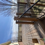Railing and deck work