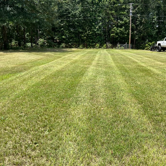 Mow and trim