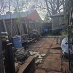 overgrown back yard