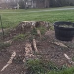Stump Removal