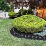 Clean ups