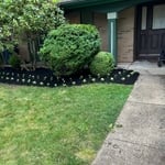 Clean ups