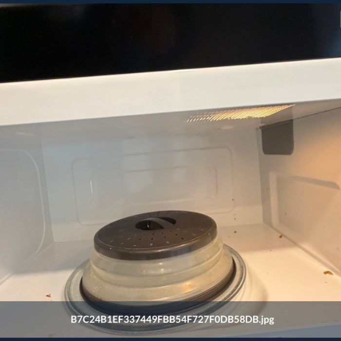 microwave (before)