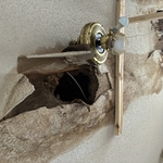 Moldy ceiling