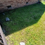 Recent home